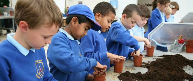 Schoolchildren in the Growing Lab, which has a glass roof with ventilation and shading, at RHS Wisley, Surrey. © RHS/Fiona Secrett